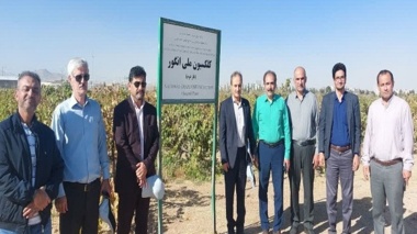 بازدید رئیس مؤسسه تحقیقات علوم باغبانی کشور از ایستگاه تحقیقاتی انگور