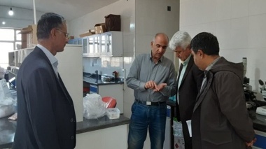 استمرار بازدید از روند نظارت بر کیفیت بذر غلات پاییزه؛ تضمین بذر سالم برای کشت پایدار