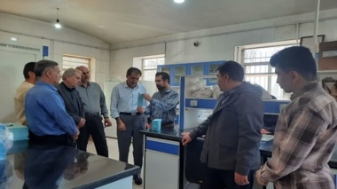 بازدید کارشناسی از بذور مادری تولیدی در استان قزوین؛ کشت پایدار در گرو بذر سالم