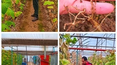 حضور در عرصه میـــــدانی