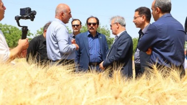 بازدید معاون وزیر جهاد کشاورزی و رئیس سازمان تات از ایستگاه تحقیقات کشاورزی و دامپروری اسماعیل آباد