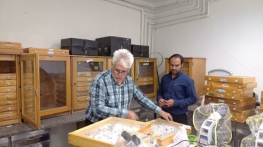 بهسازی بانک کلکسیون حشرات