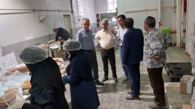 کارآفرینی در هم افزایی علم و تجربه؛ بازدید رئیس و معاون پژوهشی موسسه از کارخانه صنایع فرآوری سیزیجات در استان قزوین
