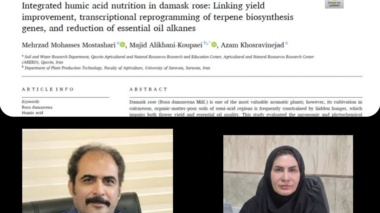 موفقیت کم نظــــیر پژوهشگران مرکز تحقیقات قزوین در انتشار مقاله علمی مرز علم مجله Q1 الزویر