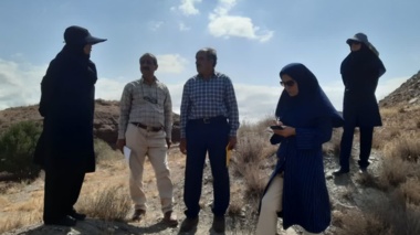 محقق مرکز تحقیقات در کارشناسی از اراضی پیشنهادی احداث باغ