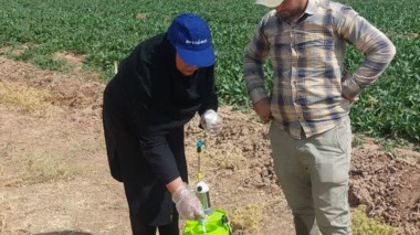 محققین قزوین و ارزیابی کارایی سموم در عرصه میدانی ؛ اجرای عملیات سمپاشی چغندر قند در راستای اجرای طرح تحقیقاتی