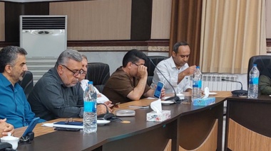گمرکچی: تحقیقات زنبورعسل باید از «موضوع‌محوری» به «مسئله‌محوری» حرکت کند