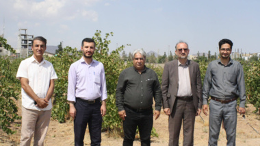 عزم جدی مرکز تحقیقات کشاورزی قزوین در راستای منافع ملی  بررسی احداث نیروگاه خورشیدی در ایستگاه تحقیقات انگور تاکستان