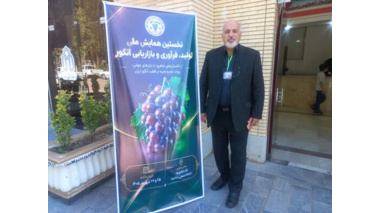 درخشش مرکز تحقیقات  قزوین در اولین همایش ملی انگور؛  حضور فعال پژوهشگران قزوینی در همایش ملی تولید، فرآوری و بازاریابی انگور