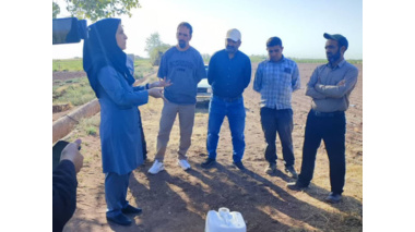 محققین معین، فعـــال در عرصه میدان؛   برگزاری کارگاه آموزشی آشنایی با روش‌های مصرف کودهای زیستی