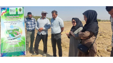 کاروان ترویج بهره‌وری در مزارع الگویی؛ کلزا شهرستان البرز یازدهمین کاروان ترویج بهره‌وری در مزارع الگویی کلزا در شهرستان البرز